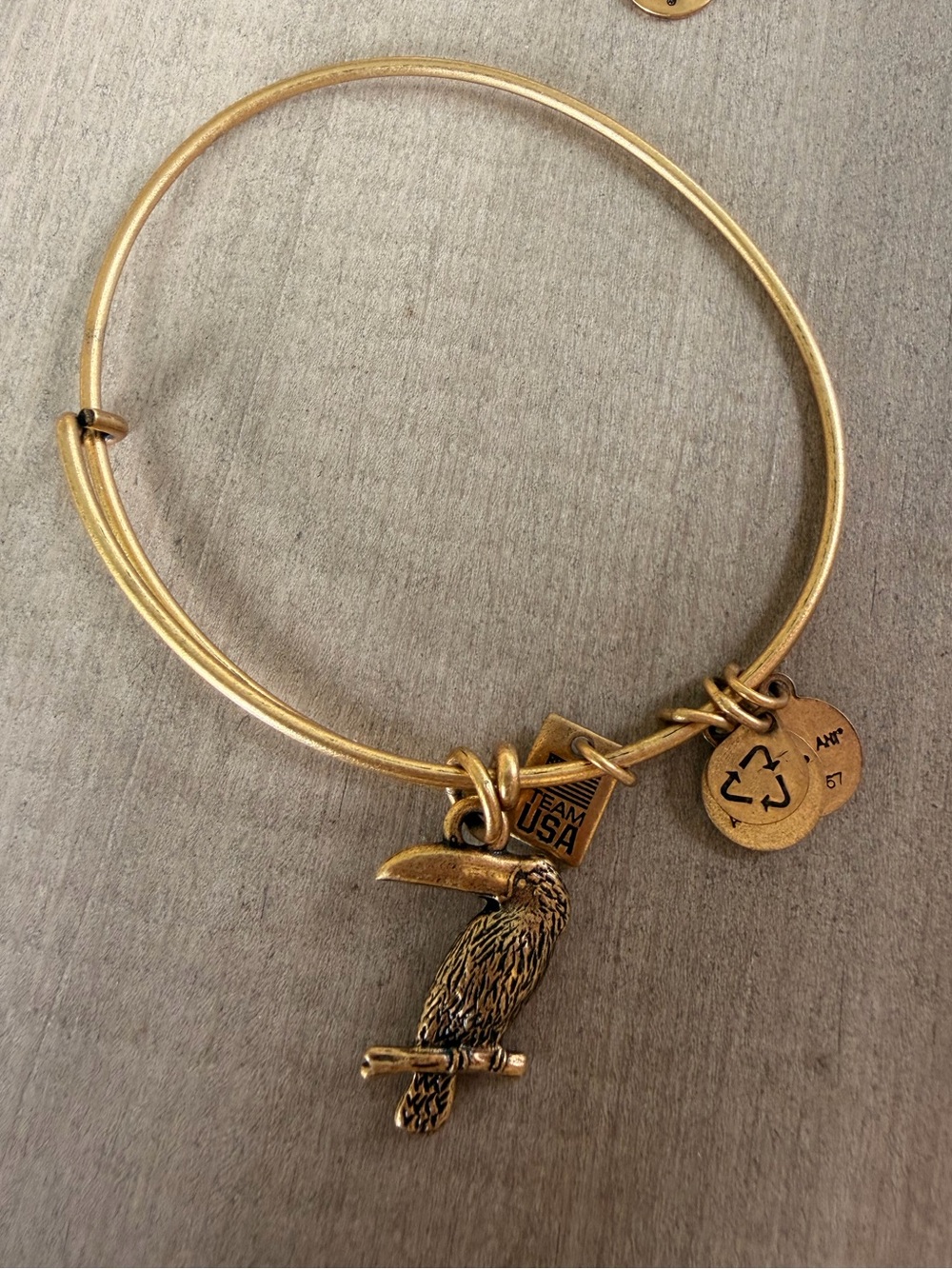 Alex and Ani Toucan